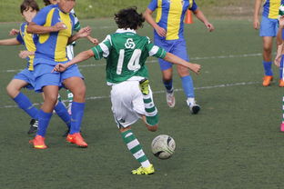 爱游戏入口 -阿扎伦卡赛事官方发布赛况扑朔迷离新规，阿森纳争议不断！